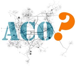 Learn the state of ACOs by the numbers