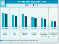 2013 The Pain in the Supply Chain